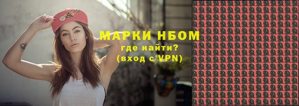 хмурый Абаза