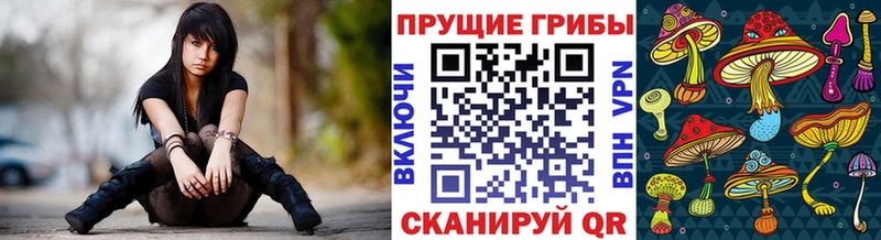 Псилоцибиновые грибы мухоморы  hydra ONION  Нижнекамск 