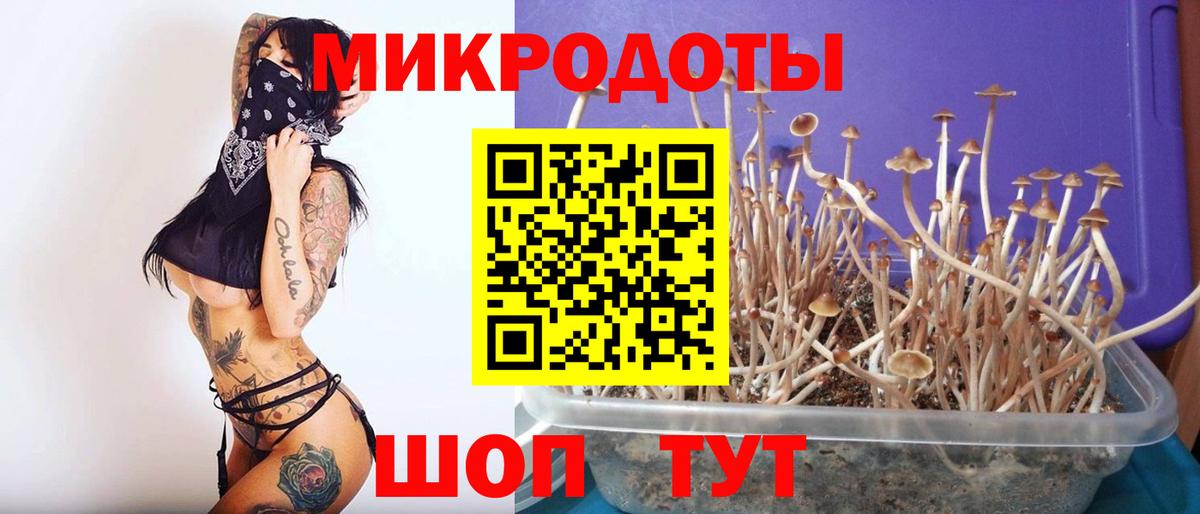 Галлюциногенные грибы Psilocybine cubensis  Вход с VPN  Нижнекамск  Псилоцибиновые грибы MAGIC MUSHROOMS 